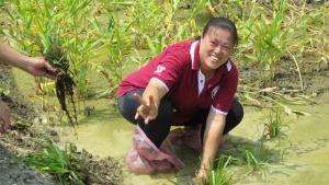 跟基隆河塔悠路五號水門錫口濕地的整治有關的相片,第1張