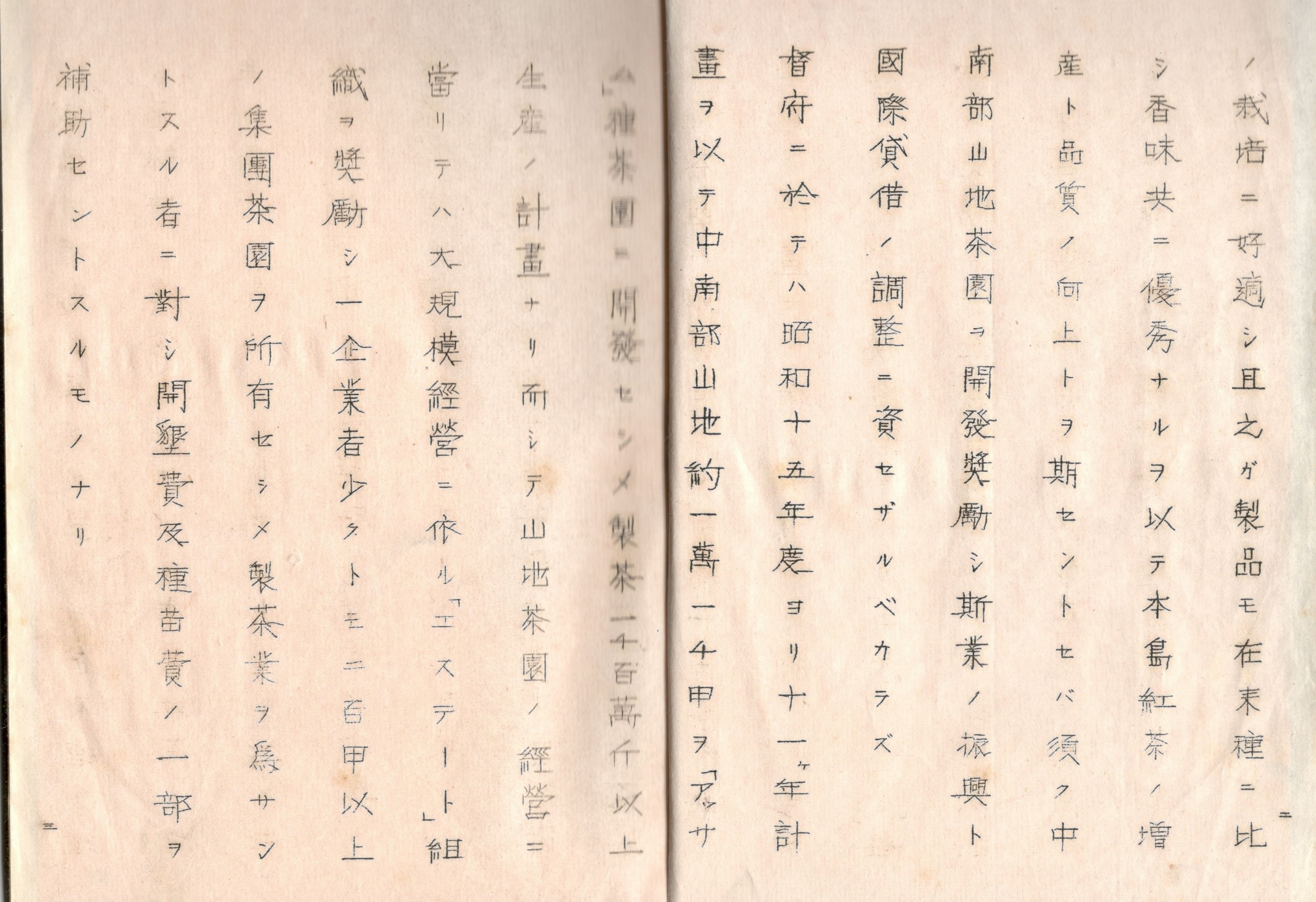 跟日治時期未竟的「山地茶園開發助成事業」-3有關的相片,第2張