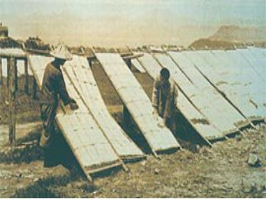 跟健康路上曬米粉產業有關的相片,共2張