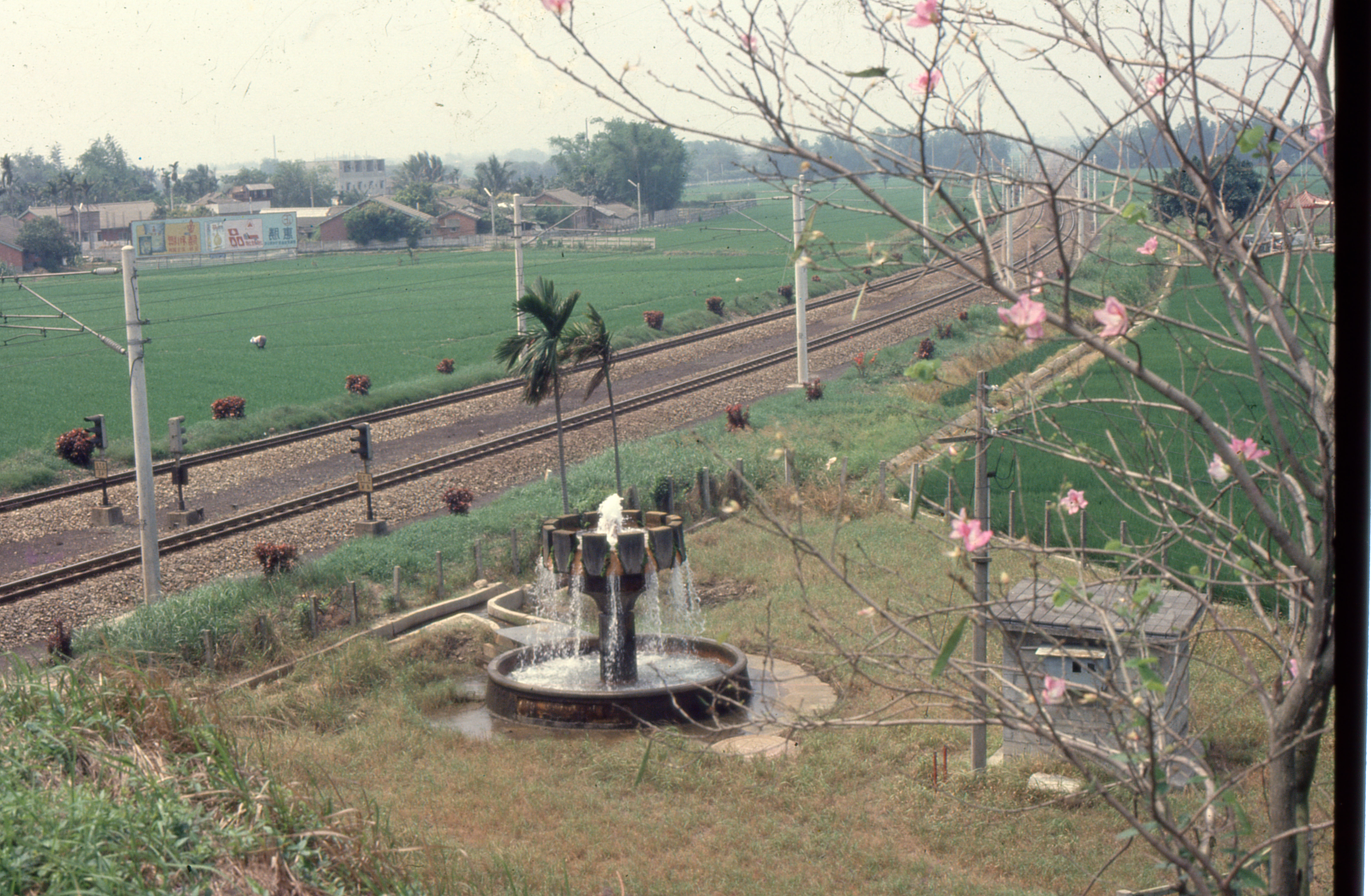 斗南鐵路邊地下水