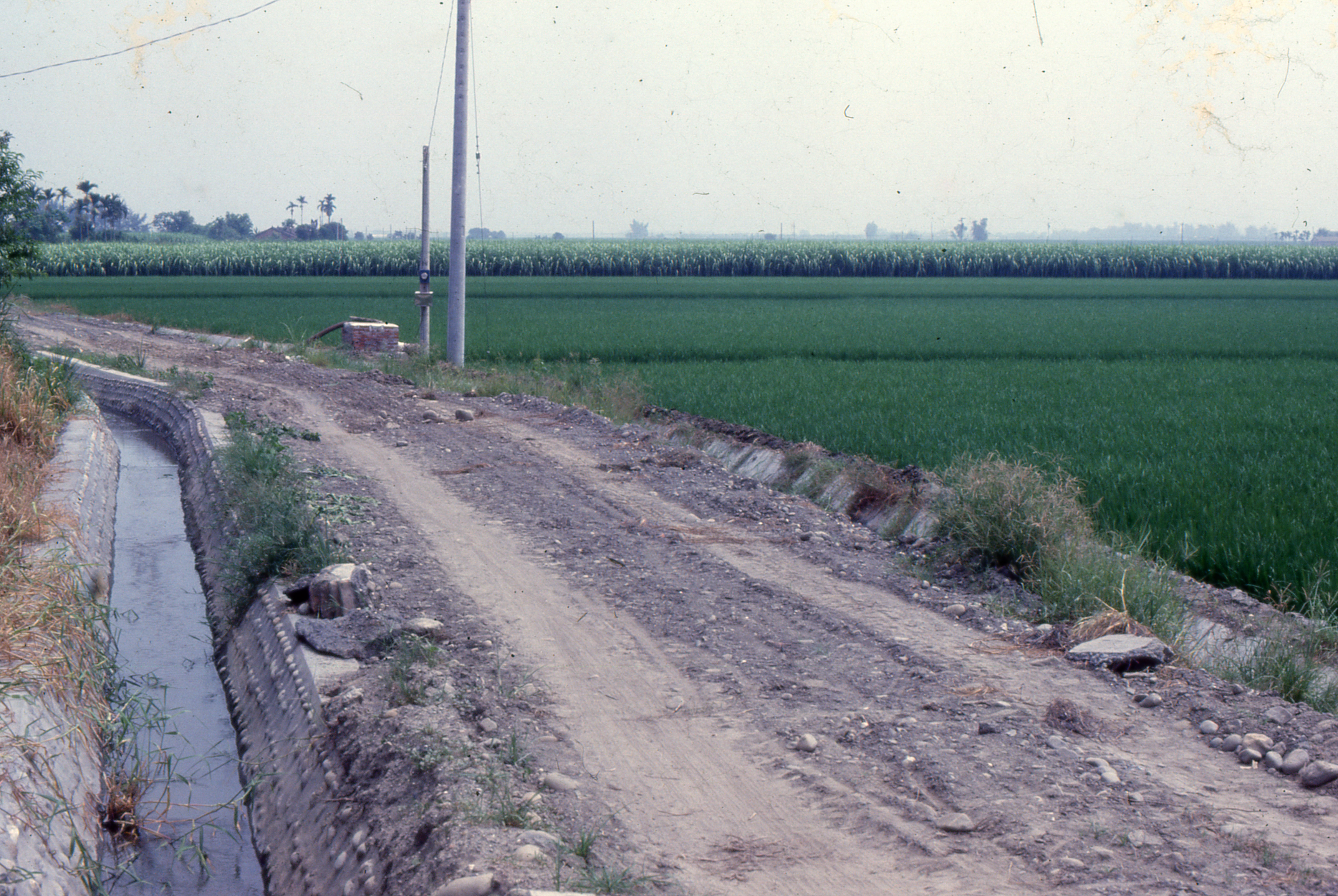 莿桐大美農地重劃