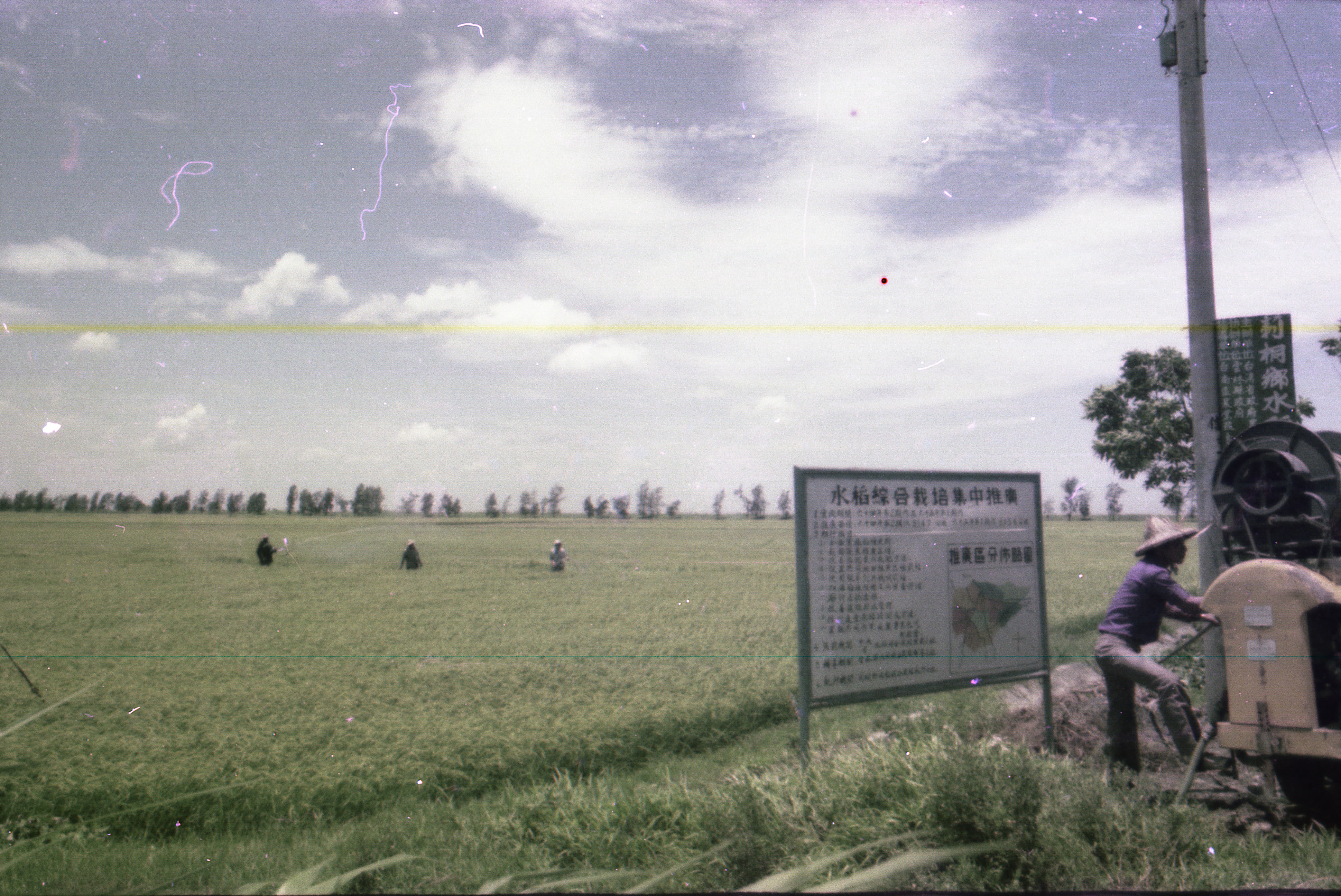 莿桐水稻綜合栽培集中推廣