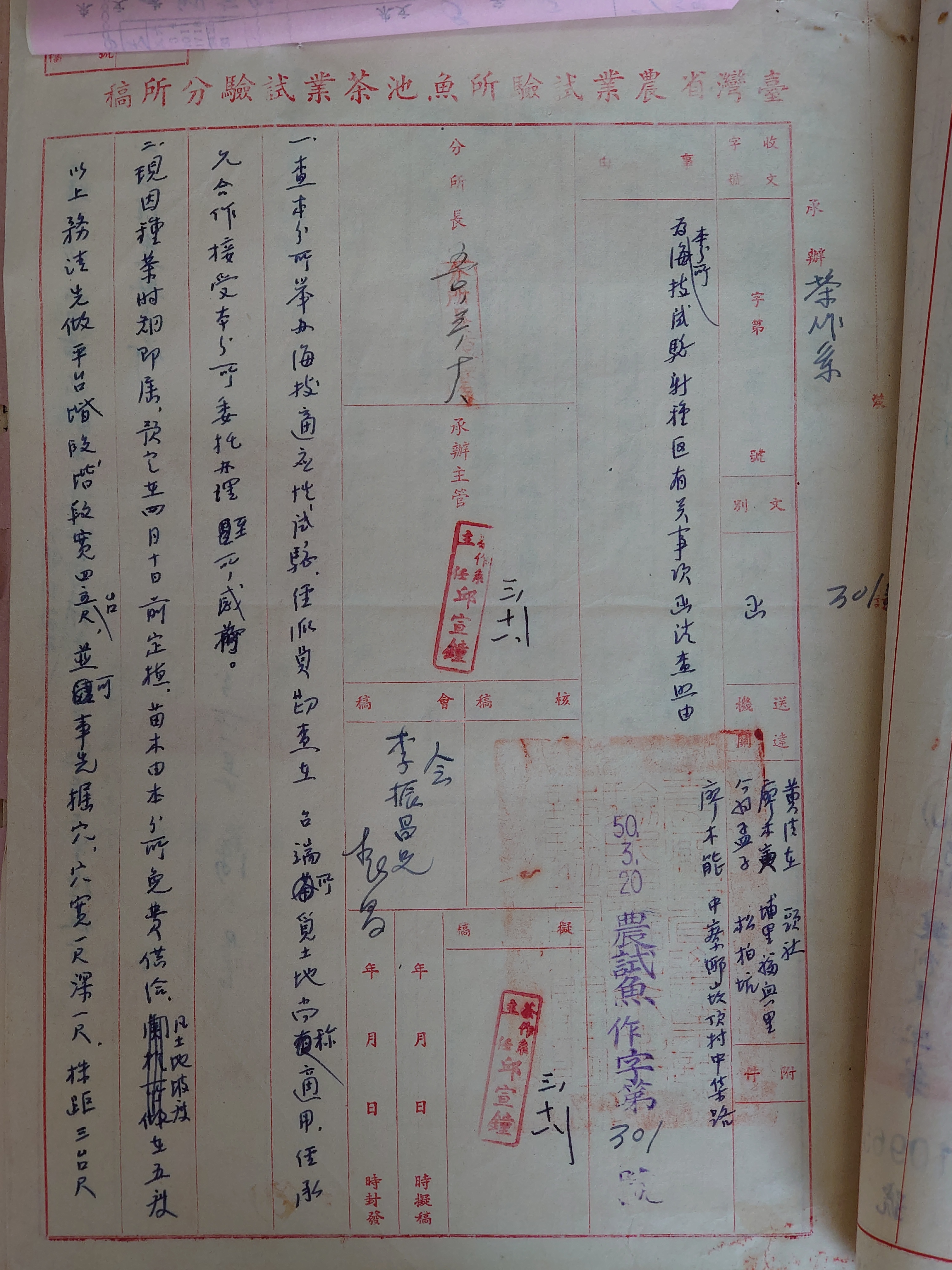 民國50年魚池茶業試驗分所發函予協助試驗之民間人士之紙本稿