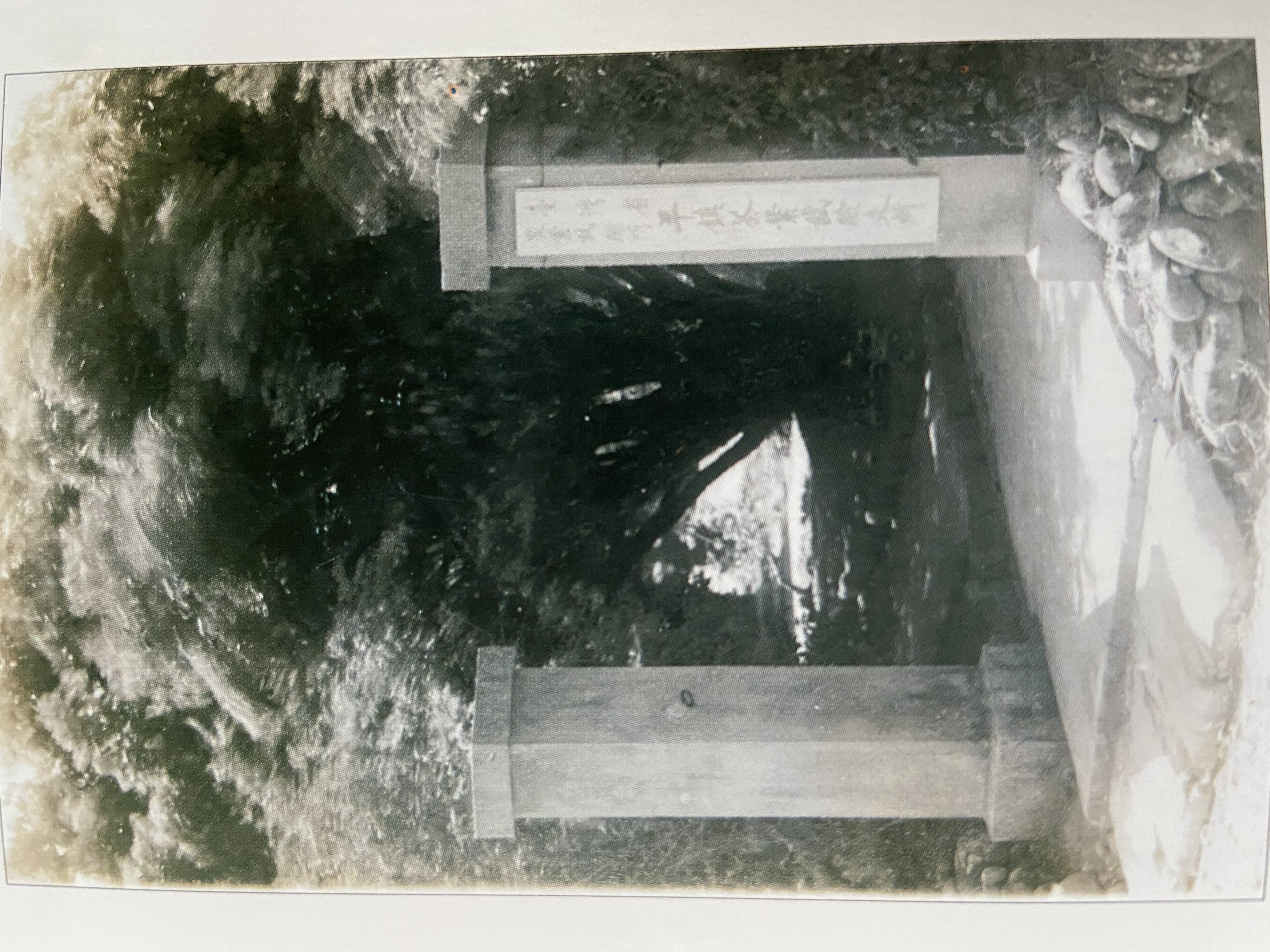早期行政院農業委員會茶業改良場正門——1945年(民國34年)臺灣省農業試驗所平鎮茶業試驗支所