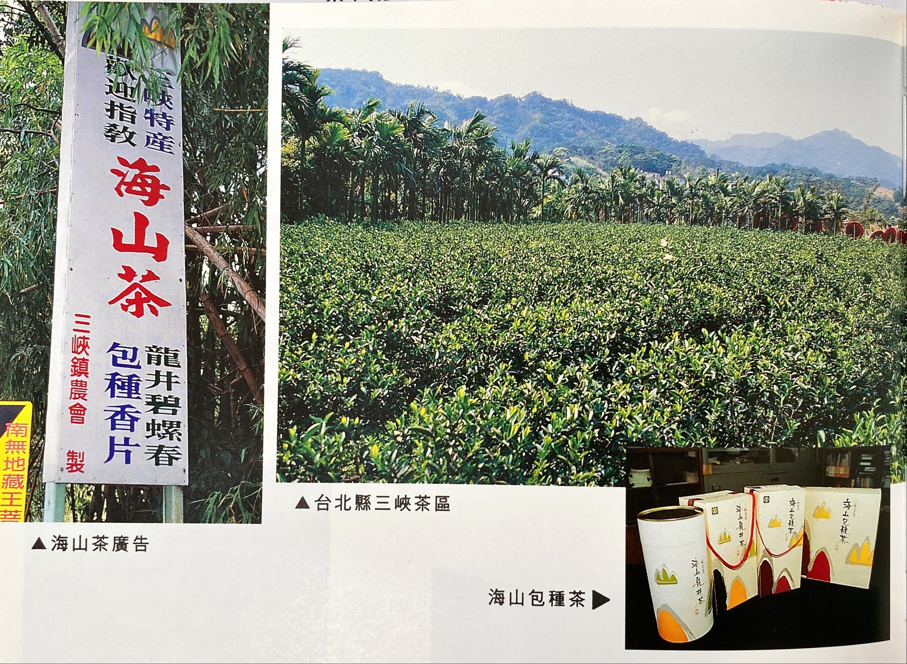 跟臺灣各地區茶葉特色-新北縣長尤清命名-新北市三峽海山茶有關的相片,共2張