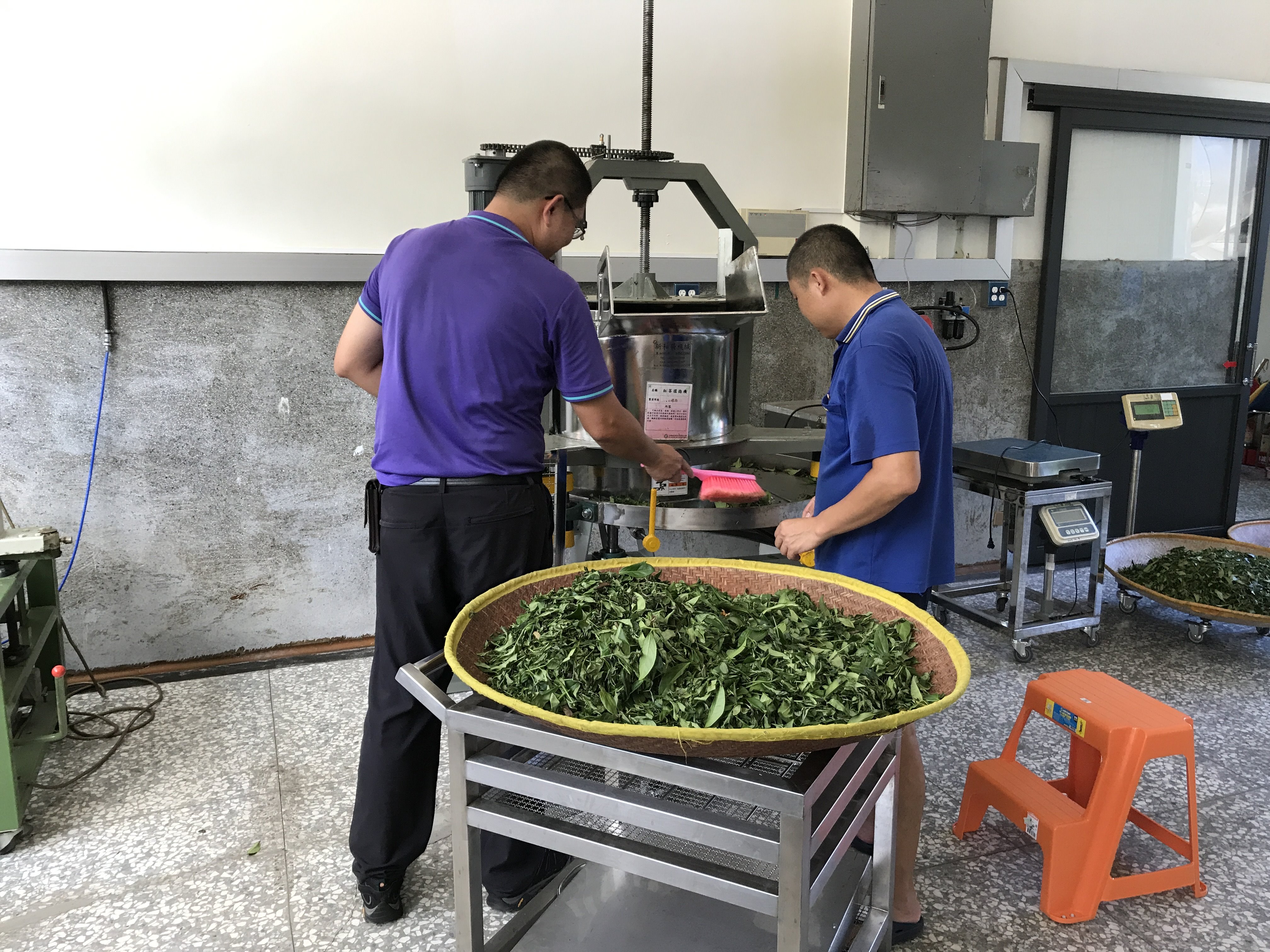 指導農友於茶及飲料作物農產加值打樣中心進行打樣