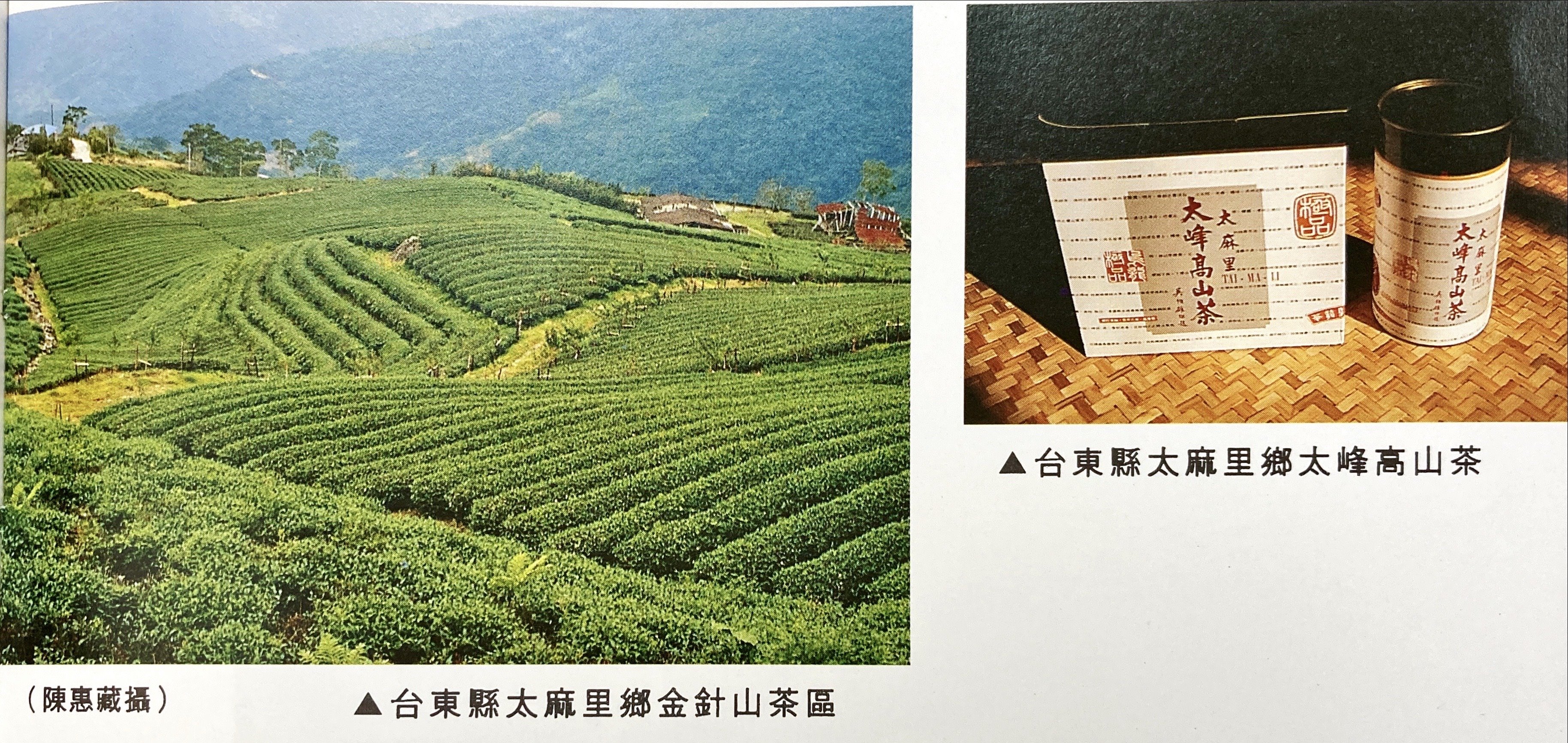 臺灣各地區茶葉特色-時任行政院政務委員吳伯雄命名之-太峰高山茶