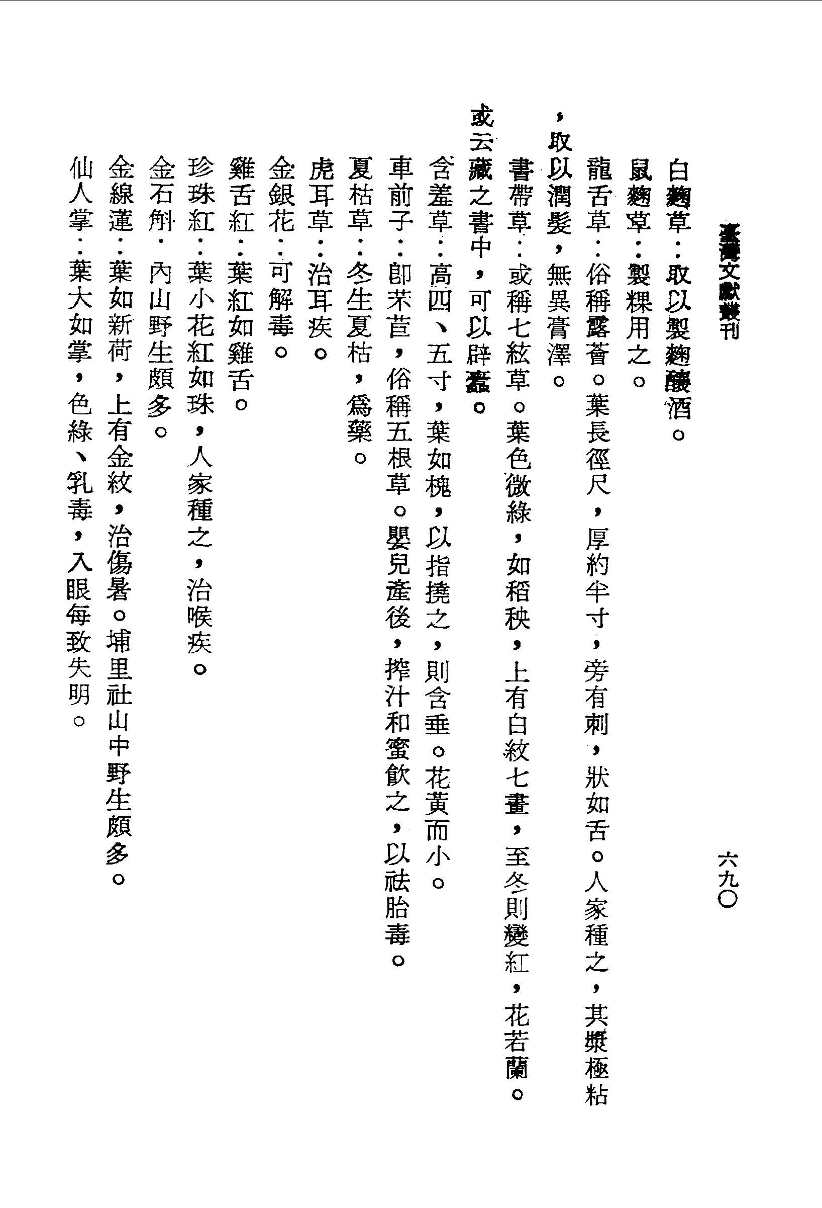 金線蓮｜國家文化記憶庫