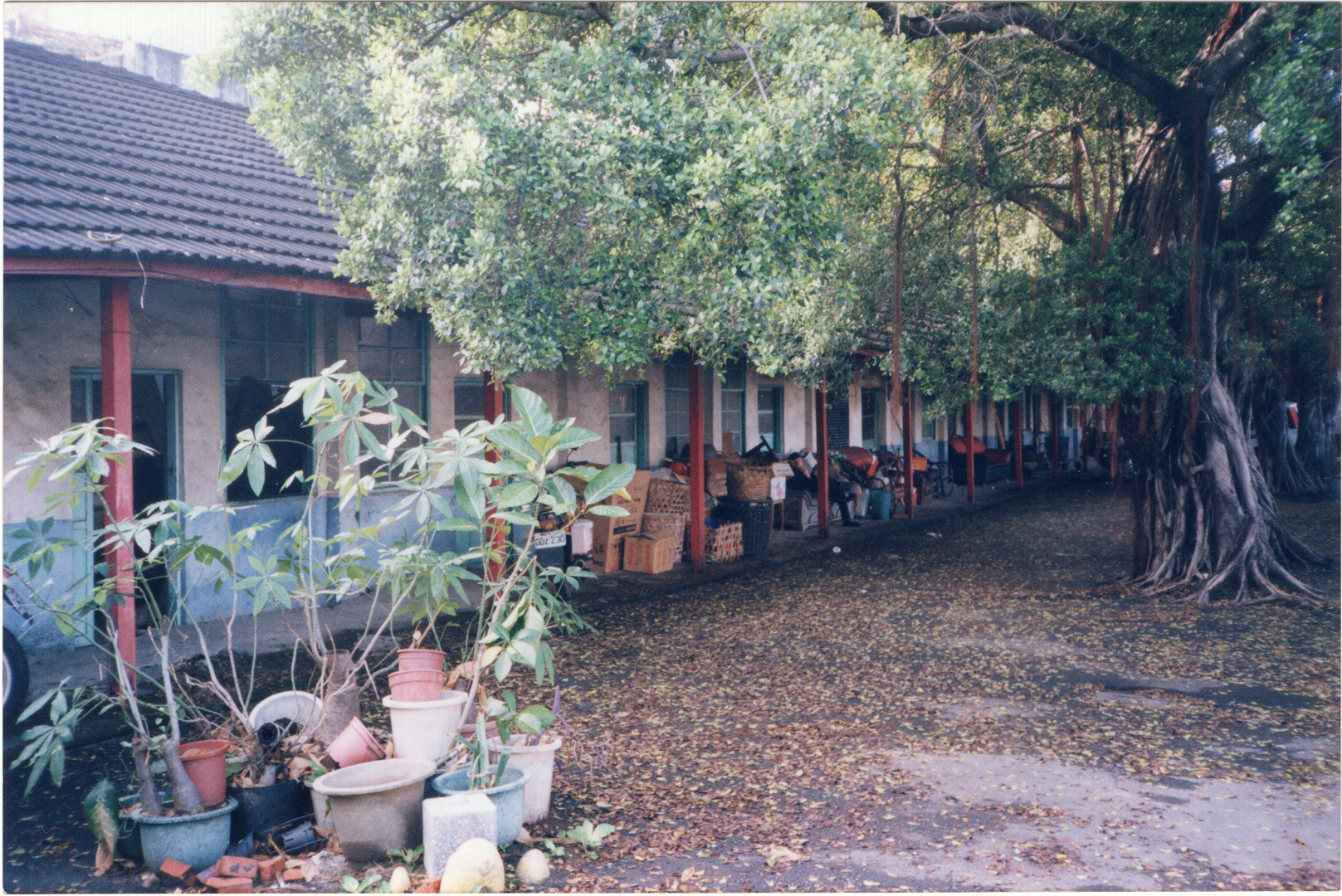 大寮商協新村幼稚園