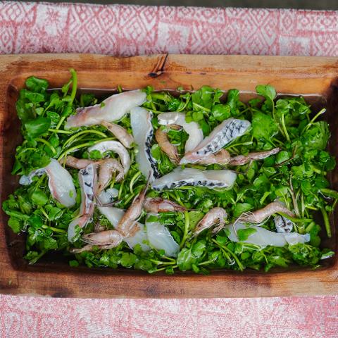 16阿美族的魚鮮烹調方式之一，以燒熱的石塊加熱魚蝦菜蔬1_5280516